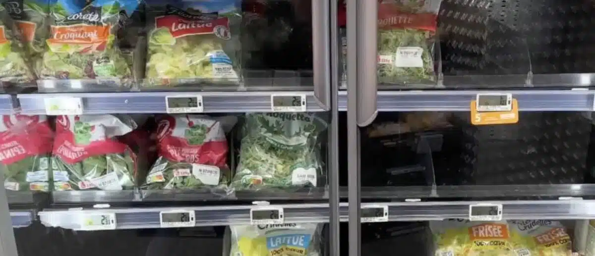 Salades introuvables en supermarché : cette canicule de 16 jours a réduit les récoltes de 100%