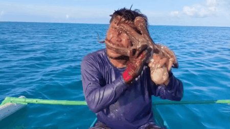 Un pêcheur philippin frappé de panique quand une pieuvre lui recouvre tout le visage