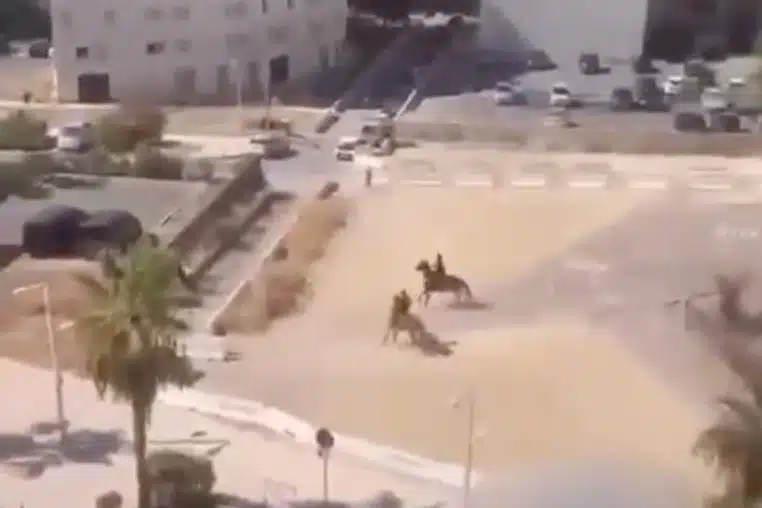 police cheval