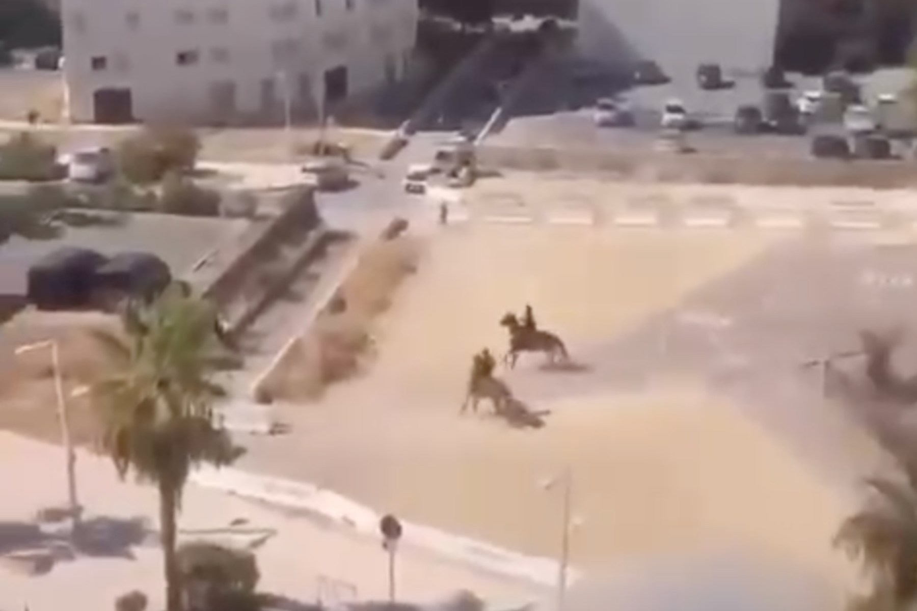 police cheval