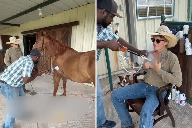 Critiqué parce qu&rsquo;il fait marquer ses chevaux, il se fait lui-même marquer (vidéo)
