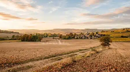 Champs dorés sous chaleur tardive de fin septembre