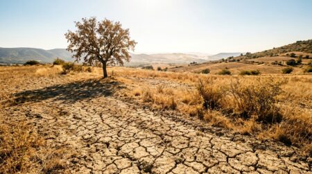 Paysage français asséché sous un ciel ensoleillé