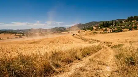 Champ de campagne française sous chaleur écrasante