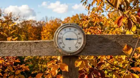 Thermomètre extérieur affichant 30 degrés parmi feuilles d'automne