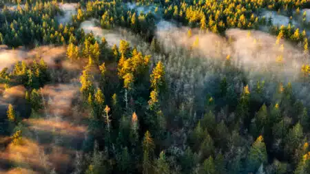 Cette île de 2,4 hectares surgit puis disparaît sur un lac au Canada : la vraie explication surprend
