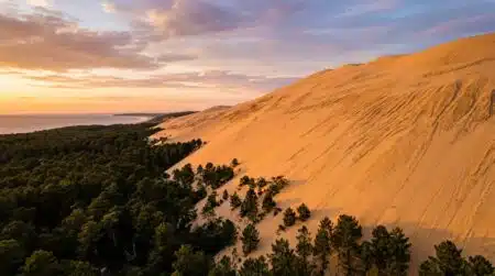 Dune de sable géante surplombant une forêt de pins