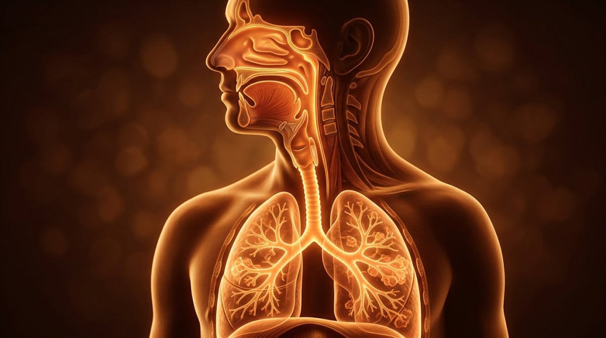 Illustration artistique du système respiratoire humain en lumière dorée