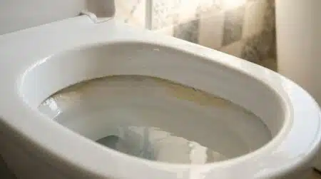 Dépôt de tartre jaunâtre au fond d'une cuvette