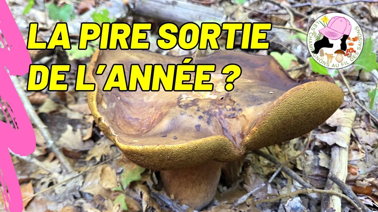 Video thumbnail for youtube video nlutitznpaq