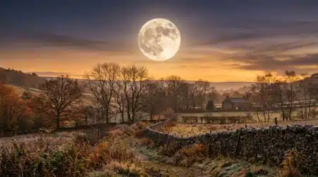 Pleine Lune se levant au-dessus d'arbres d'automne