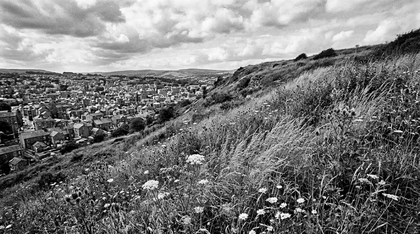 Le terrain vierge, sans eau ni électricité, acheté en 1948 sur les hauteurs de Rueil