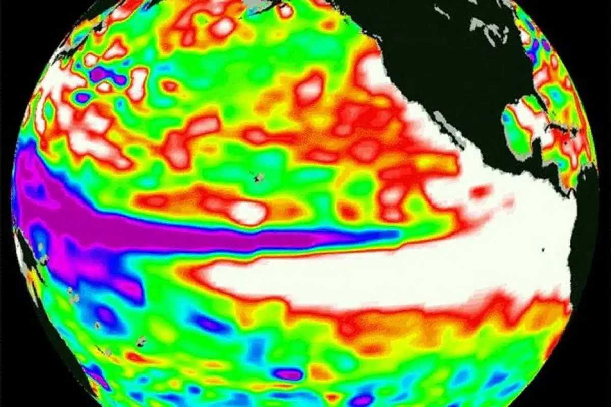 El Niño déboule dans un océan dont 80 % de la surface est déjà trop chaud : l'océanographe prévient