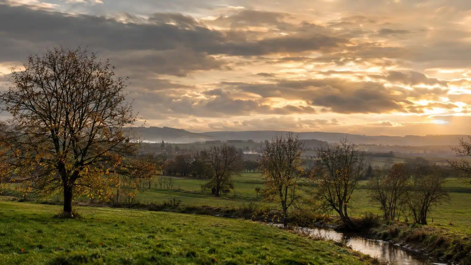 Paysage d'automne doux sous un ciel nuageux