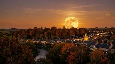 Grande lune dorée se levant derrière des arbres d'automne