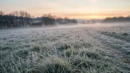 Prairie couverte de givre au lever du soleil