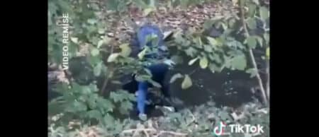 Policier accusé de noyer un lycéen à Belfort : ce que la vidéo virale ne montre pas, selon le procureur