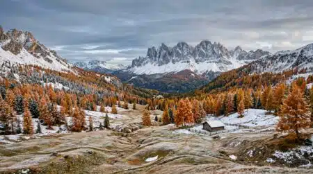 Premières neiges sur des mélèzes d'automne en montagne
